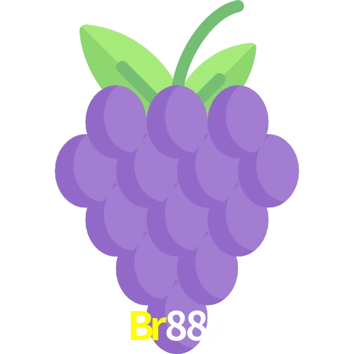 Br888